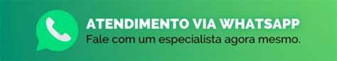 Bordetella em cães Tosse dos canis sintomas e tratamento