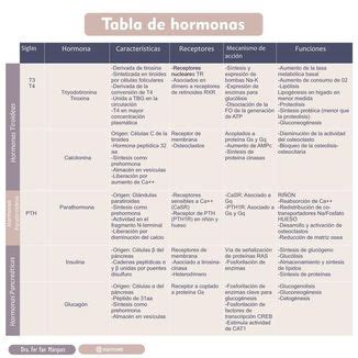 Para Aumentar Este Reparador Funciones De Las Hormonas Del Sistema