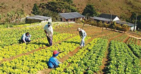 ¿qué Es Agricultura Su Definición Y Significado 2020