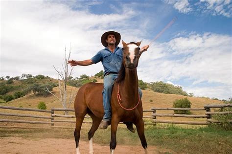 Jillaroo School | Animals beautiful, Horse training, Horses