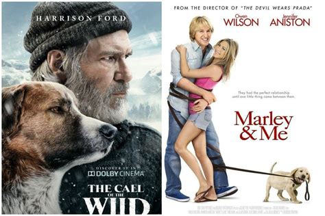 You Can Now Get Paid $1K To Watch Movies Starring Dogs - Newsweek