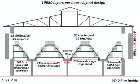 Poultry House Design Of 5000 Layer With Chicken Cage, 46% OFF