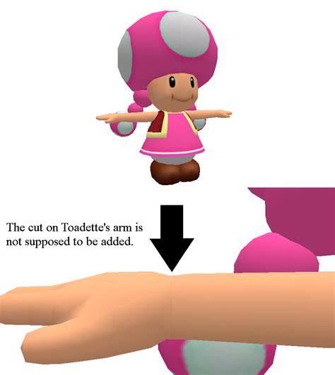 Toadette Mario Party 8