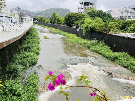 泰山大窠坑溪河道改善 再現生命力 生活 自由時報電子報