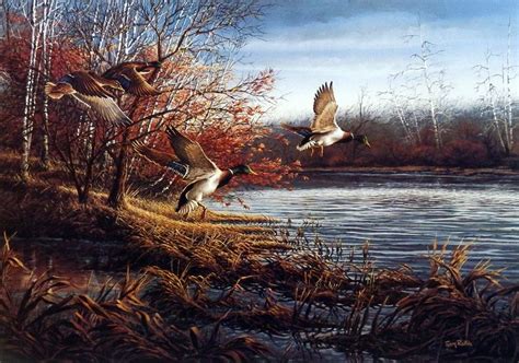 Terry Redlin The Backwater | Wildlife art, Terry redlin, Terry redlin ...