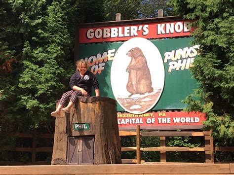 Gobbler's Knob (Punxsutawney) - All You Need to Know BEFORE You Go - Updated 2019 (Punxsutawney ...