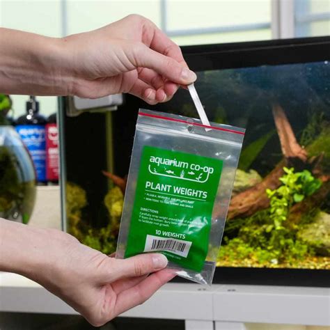 Aquarium Plant Weights | Fish Tank Supplies for Live Aquatic Plants ...