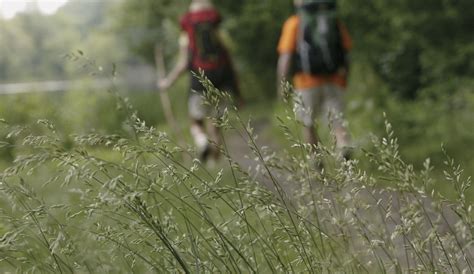 Caminata ecológica en Cundinamarca conoce de botánica