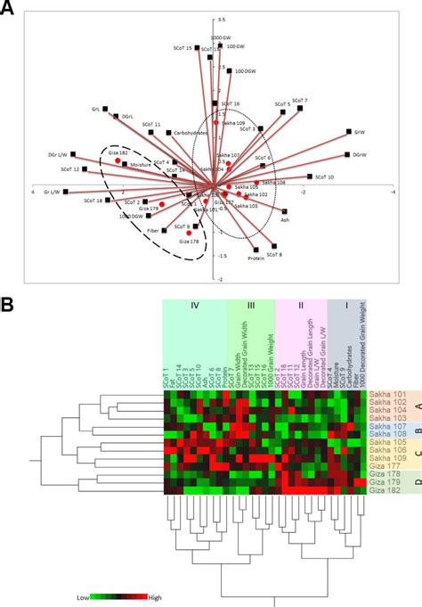 Bioplot Of Principle Component Analysis Pca And Two Way Hierarchical