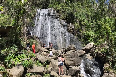 2024 Excursão de caminhada pela floresta tropical de El Yunque saindo