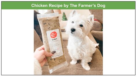 The Farmer’s Dog Food Ingredients 2023: A Complete Analysis