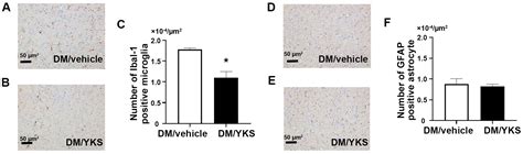 Jcm Free Full Text Serotonin Mediated Anti Allodynic Effect Of Yokukansan On Diabetes