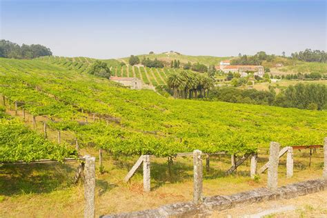 Val do Salnés el reino del albariño de las Rías Baixas JUST B