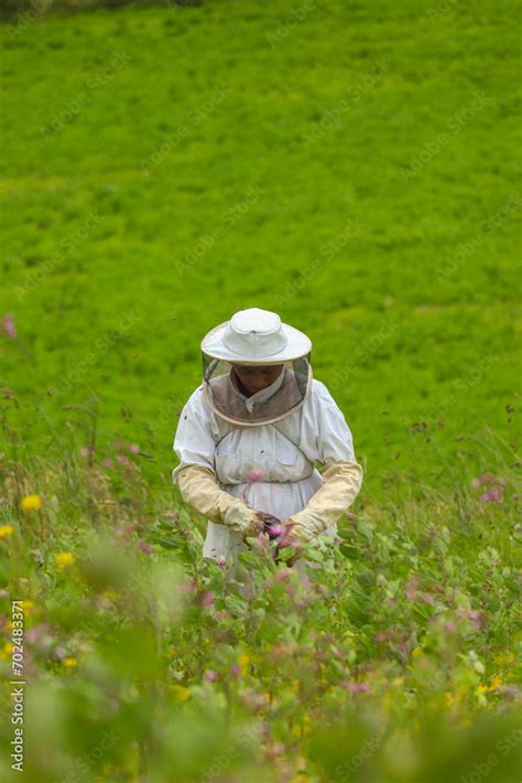 Mujer Latina Agricultora Vestida Como Apicultor Se Esta Acomodando El Traje De Proteccion En