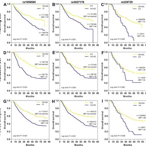 Kaplan Meier Estimates Of Overall Survival Os For Gastric Cancer Gc