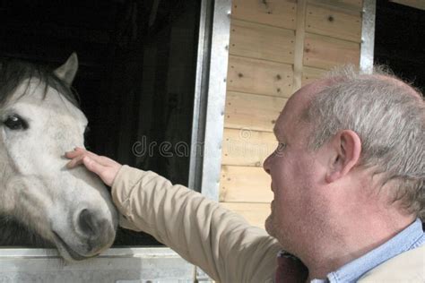 Man And Horse Stock Image Image Of Animal Equine Farm 8236867