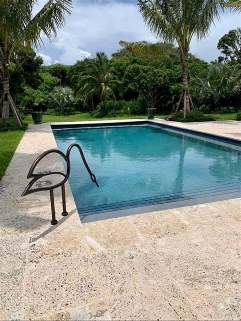 Swan Pool Rails Swimming Pool Handrails Swimming Pools Pool Rails