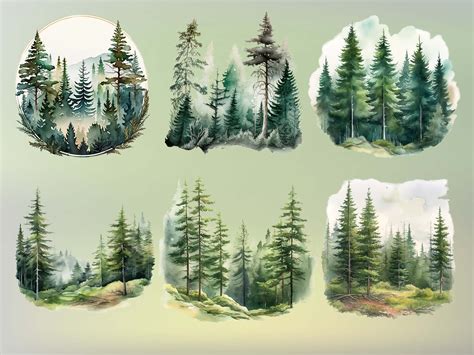 Watercolor Forest Tree Clipart 20 Pine Tree Png Woodland Tree Forest Landscape Watercolor