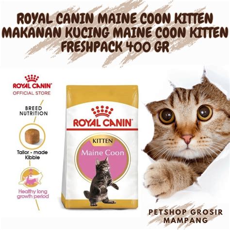 Jual Royal Canin Kitten Mainecoon Makanan Kucing Untuk Maine Coon