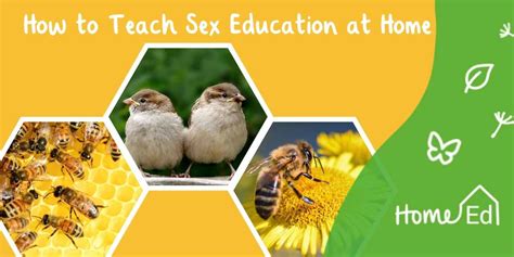 How To Teach Sex Education At Home Twinkl