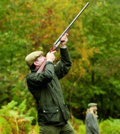 Improve Your Pheasant Shooting Technique