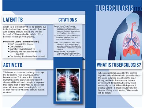 Tuberculosis Pamphlet Behance