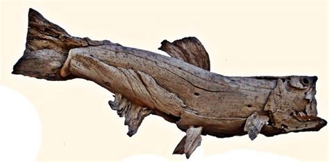 Rainbow Trout In Driftwood By Tony Fredriksson Openskywoodart