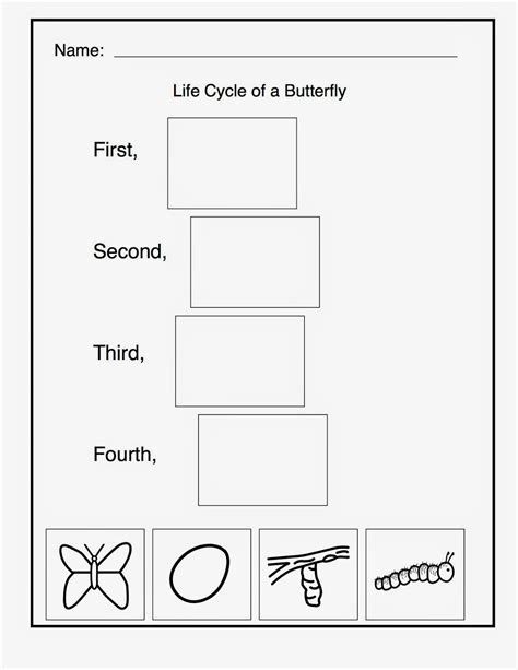 11 Cycle Of Butterfly Worksheets Preschool Kindergarten