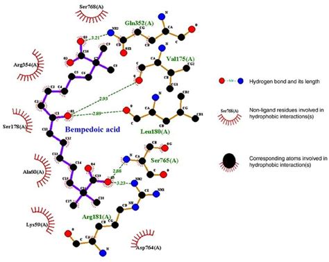 The Molecular Interactions Between Bempedoic Acid And Histone