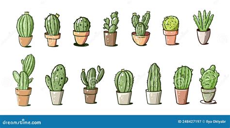 Hand Drawn Cactus Set Collection Modern Sketch Vector Illustration