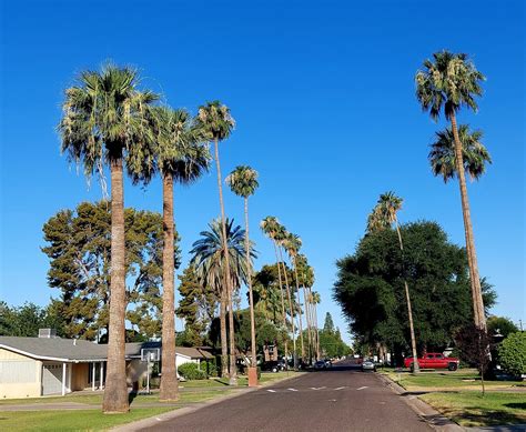 Phoenix, Arizona tourism - a travel guide for pedestrians and others