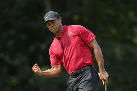 Tiger Woods Wins PGA Tour Championship | Complex