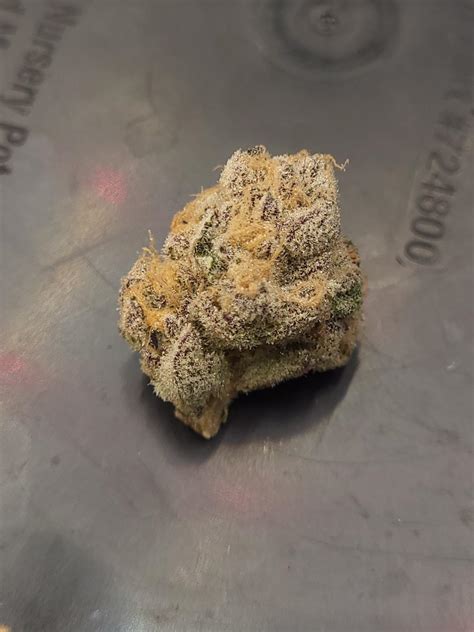 glazed donut by farmhouse studio @shwale_ : r/GrowBuddy