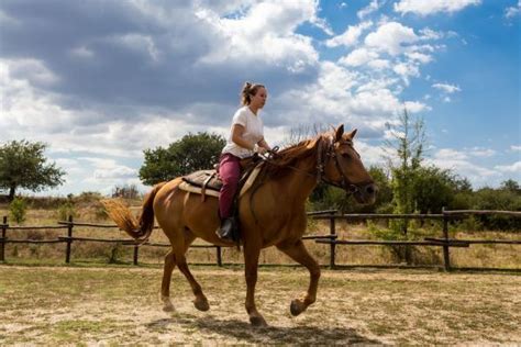 Cómo aprender a montar caballos controlarlo manejarlo por primera