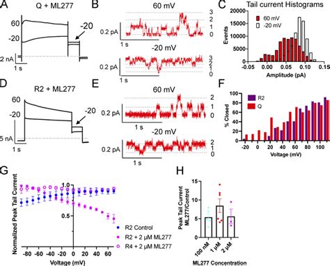 Open Probability Of Ml Activated Kcnq And R Channels Decrease With