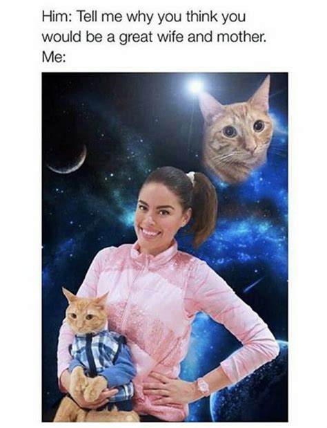 Funny Cat Memes To Make Your Caturday Purrfect