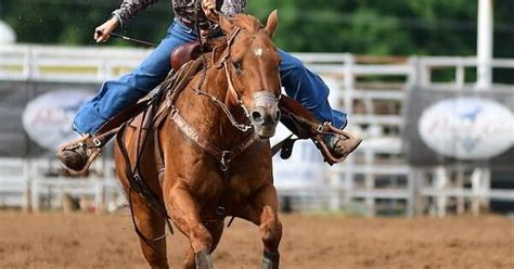 5 Things To Know Will Rogers Stampede Prca Rodeo And Its Return News