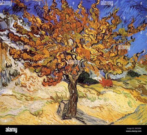 Mulberry Tree 1889; France by Vincent van Gogh Stock Photo - Alamy