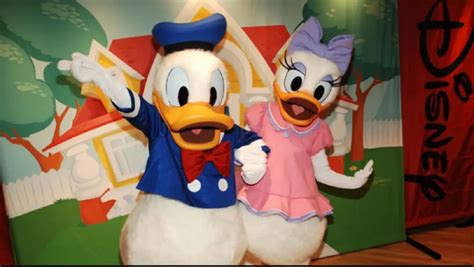 Donald Duck Facts And Trivia List Of Fun Cartoon Planet