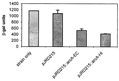 Galactosidase Activity In The Complemented E Coli Arca Mutant