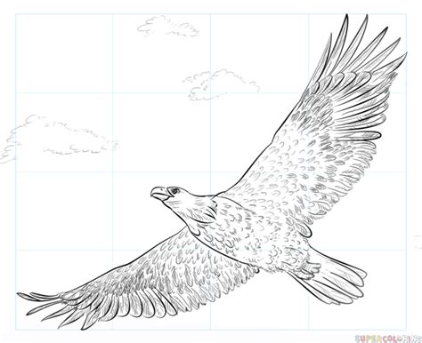 How To Draw An Eagle Step By Step