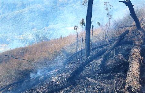 Incendio Arrasa Nuevamente Monta A La Oki En Comayagua Hch Tv