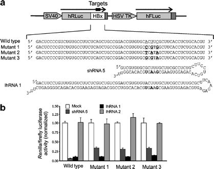 Assessment Of Silencing Efficacy Of Shrna Shrna And Lhrna