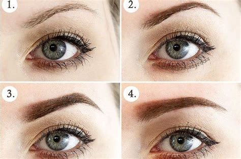 16 Eyebrow Diagrams That Will Explain Everything To You Perfect