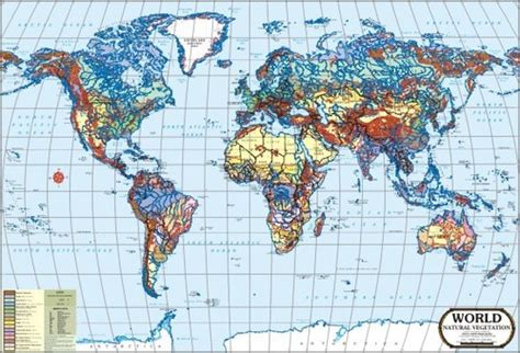 World Natural Vegetation Map - Vidya Chitr Prakashan ( VCP )