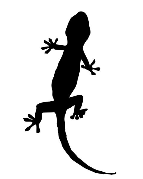 Gecko Clip Art - ClipArt Best