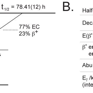 simplified decay scheme    salient decay