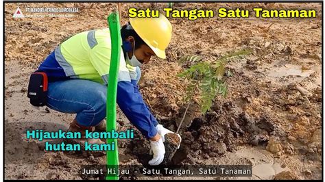 Reklamasi Area Bekas Tambang Batubara Penanaman Pohon PT Mandiri