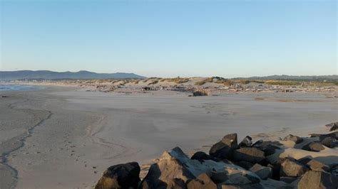 South Jetty County Park Florence Or Top Tips Before You Go With