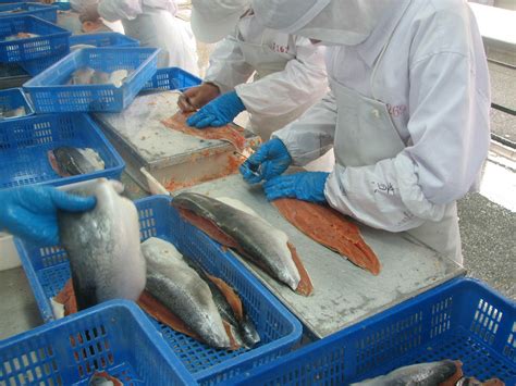 Why the number 253 is legendary in local Pacific Northwest culture 20